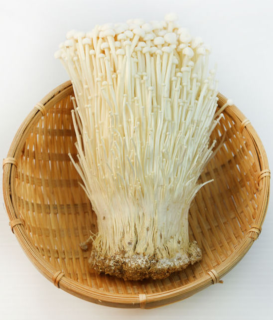 Enoki Bowl | 6" x 3" | Greystone/Snow White (delightfully warped amorphous and more organic forms)