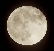 Lunar Flat | 6" | Sandstone/Snow White