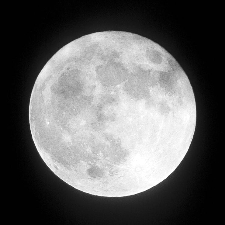 Lunar Flat | 10" | Greystone/Snow White