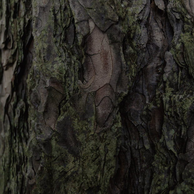 Alder Tumbler | 3.5" x 3.5" | Brownstone/Danish Pine